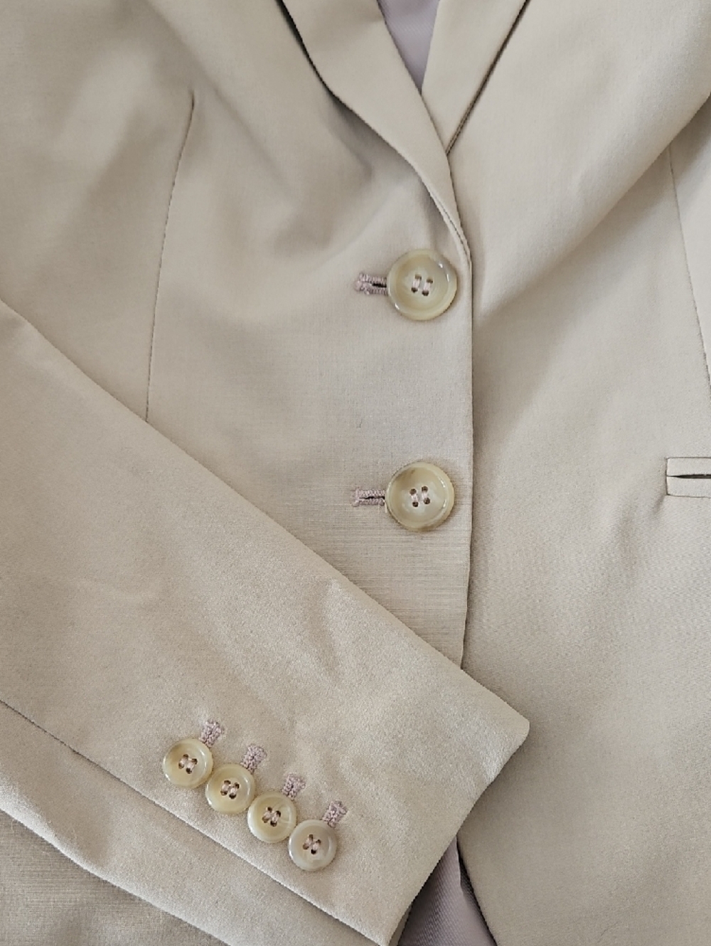 The Limited Beige Women's Tailored Two-Button Blazer and Pant Set - Picture 3 of 5